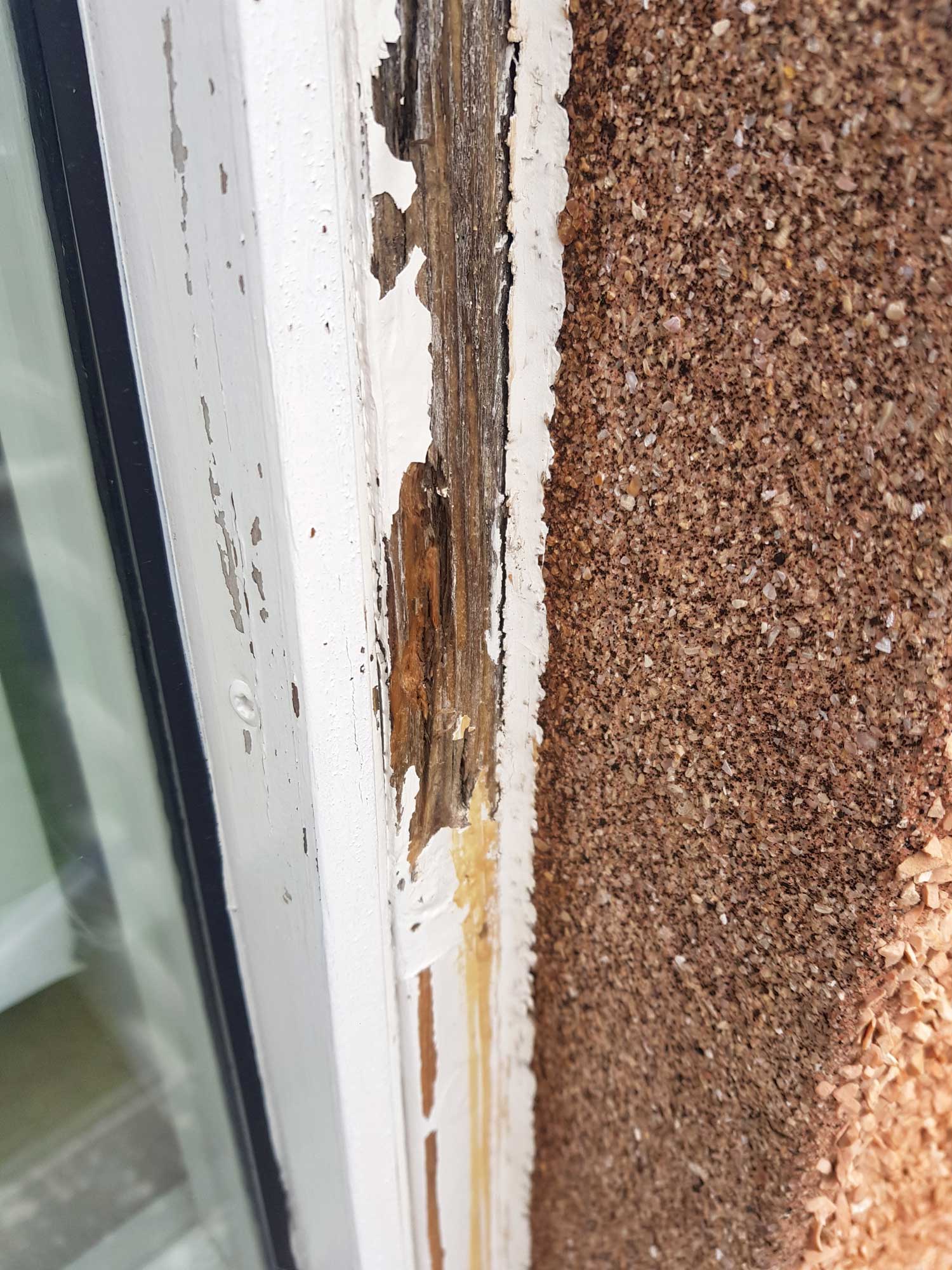 Tré og málun, Málarameistari, Þakviðgerðir, Gluggaskipti, Almennt viðhald fasteigna, Gerum tilboð að kostnaðarlausu