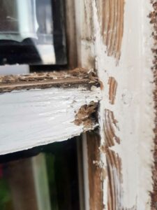 Tré og málun, Málarameistari, Þakviðgerðir, Gluggaskipti, Almennt viðhald fasteigna, Gerum tilboð að kostnaðarlausu