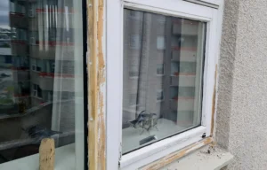 gullsmari 07 20240716 122716