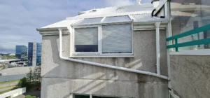 gullsmari 07 20240809 171521